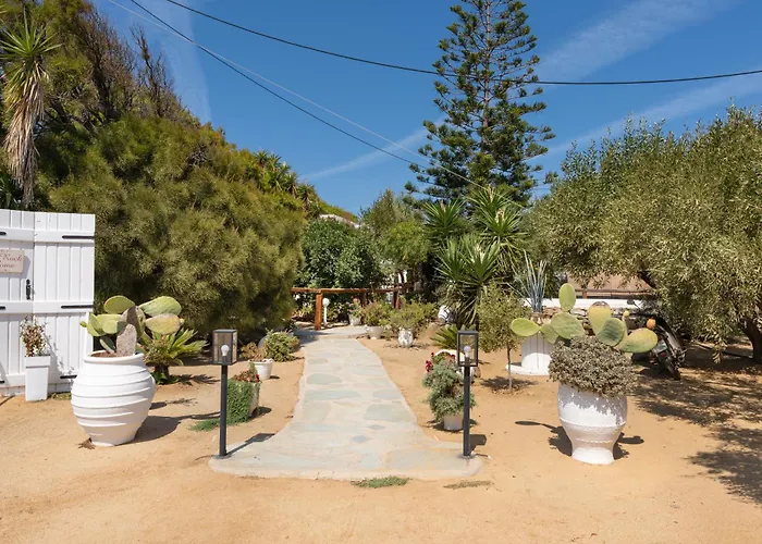 Sunrock - Petunia 3* Naxos City