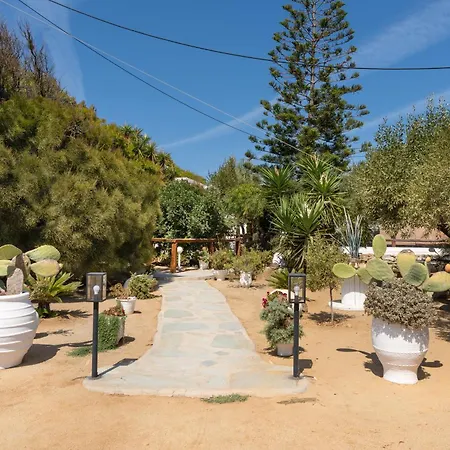 Sunrock - Petunia 3* Naxos City