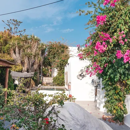 Sunrock - Petunia 3* Naxos City