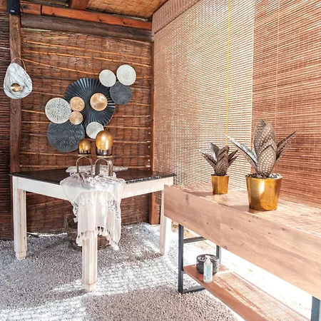 Sunrock - Petunia Naxos City