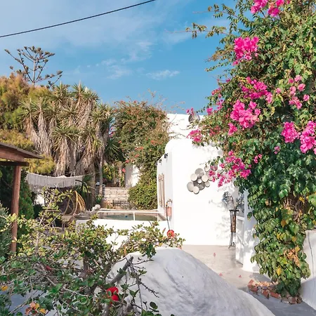 Sunrock - Petunia Apartahotel