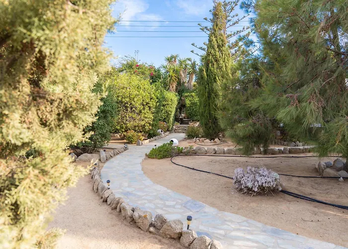 Sunrock - Petunia 3* Naxos City